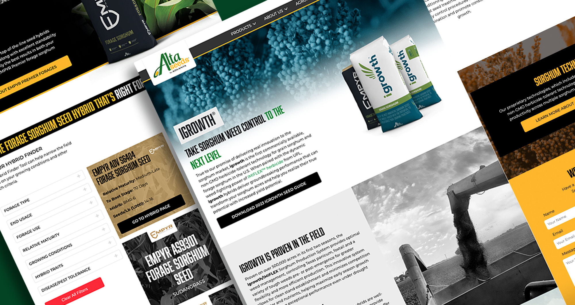 A website page with text and images 
