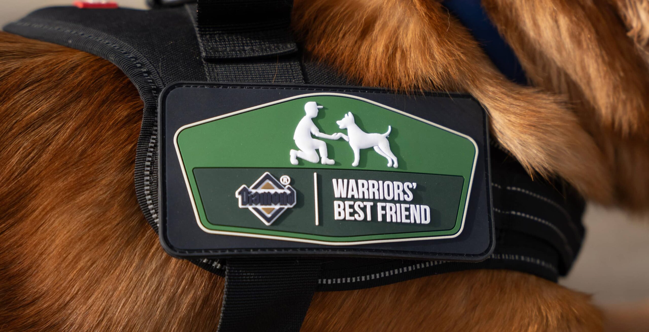 Warriors’ Best Friend