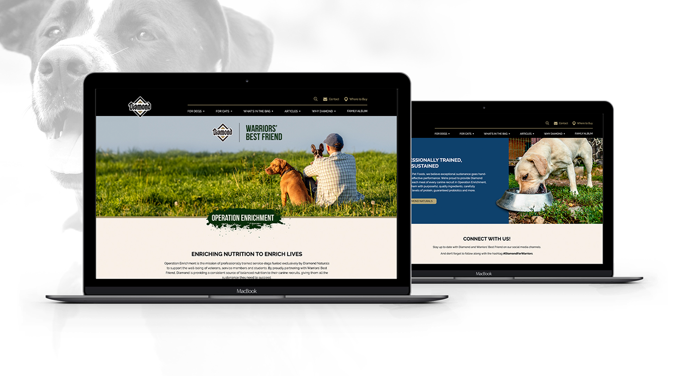 Warriors' Best Friend webpages on laptop screens. 