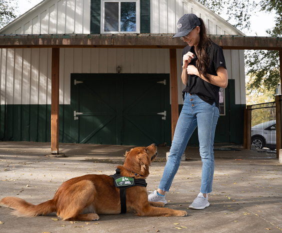 A woman smiling at a dog that is wearing a Warriors' Best Friend harness.